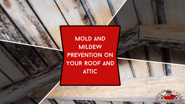 Mold-and-Mildew-Prevention-on-Your-Roof-and-Attic