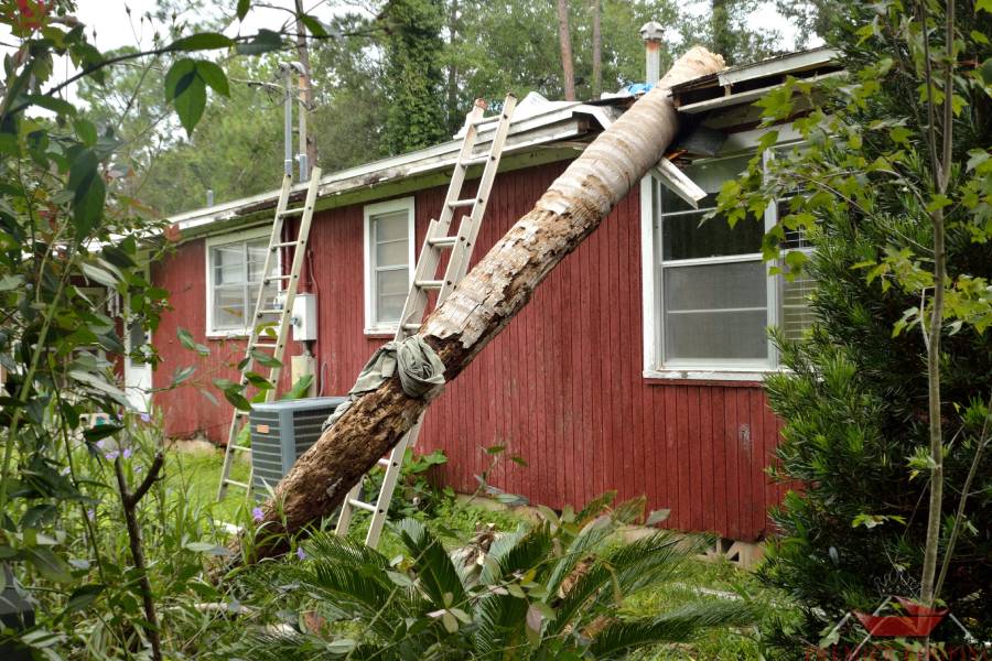 Home Needing Roof Damage Insurance Claims