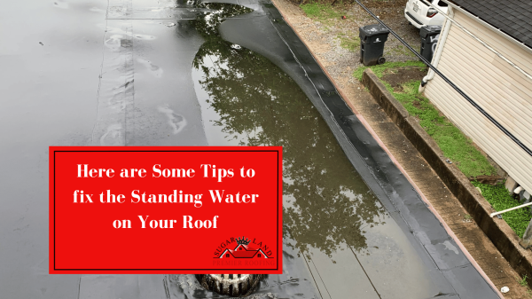 Here-are-Some-Tips-to-fix-the-Standing-Water-on-Your-Roof
